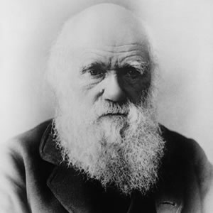 Darwin
