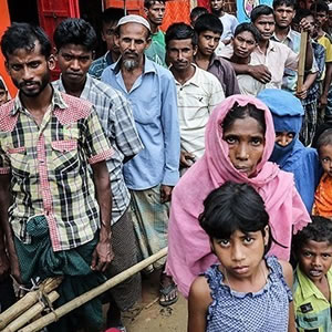 rohingya